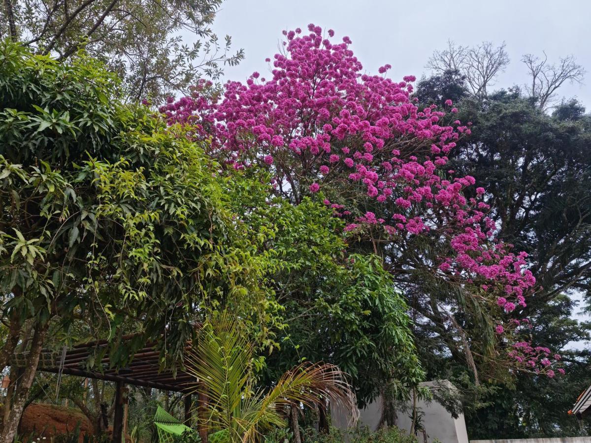 Guest house Descobrindo A Vida Brumadinho